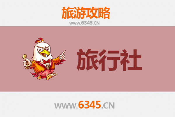 澄迈大丰镇本地旅行社推荐 | 深度游攻略与特色体验