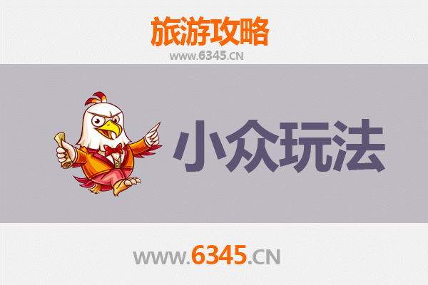澄迈大丰镇小众玩法探秘：穿越古村与红树林的静谧之旅